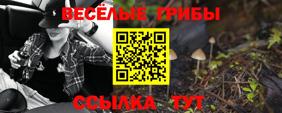 Галлюциногенные грибы GOLDEN TEACHER  Галлюциногенные грибы Cubensis  Томск  Вход с VPN 