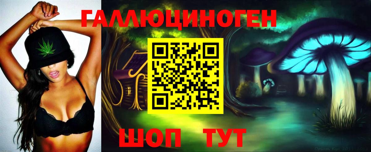 Псилоцибиновые грибы Cubensis Томск
